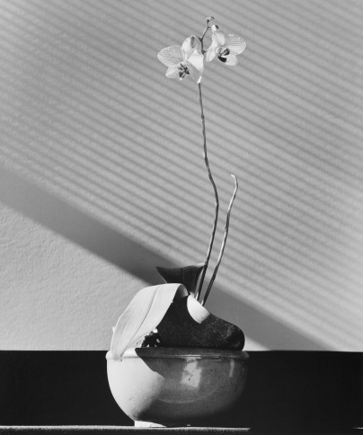 The Poetics of Form<br />
형태의 시학