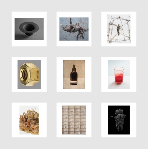 Objects in Oscillation<br />
진동하는 사물들