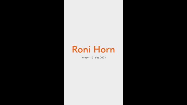 Roni Horn



 