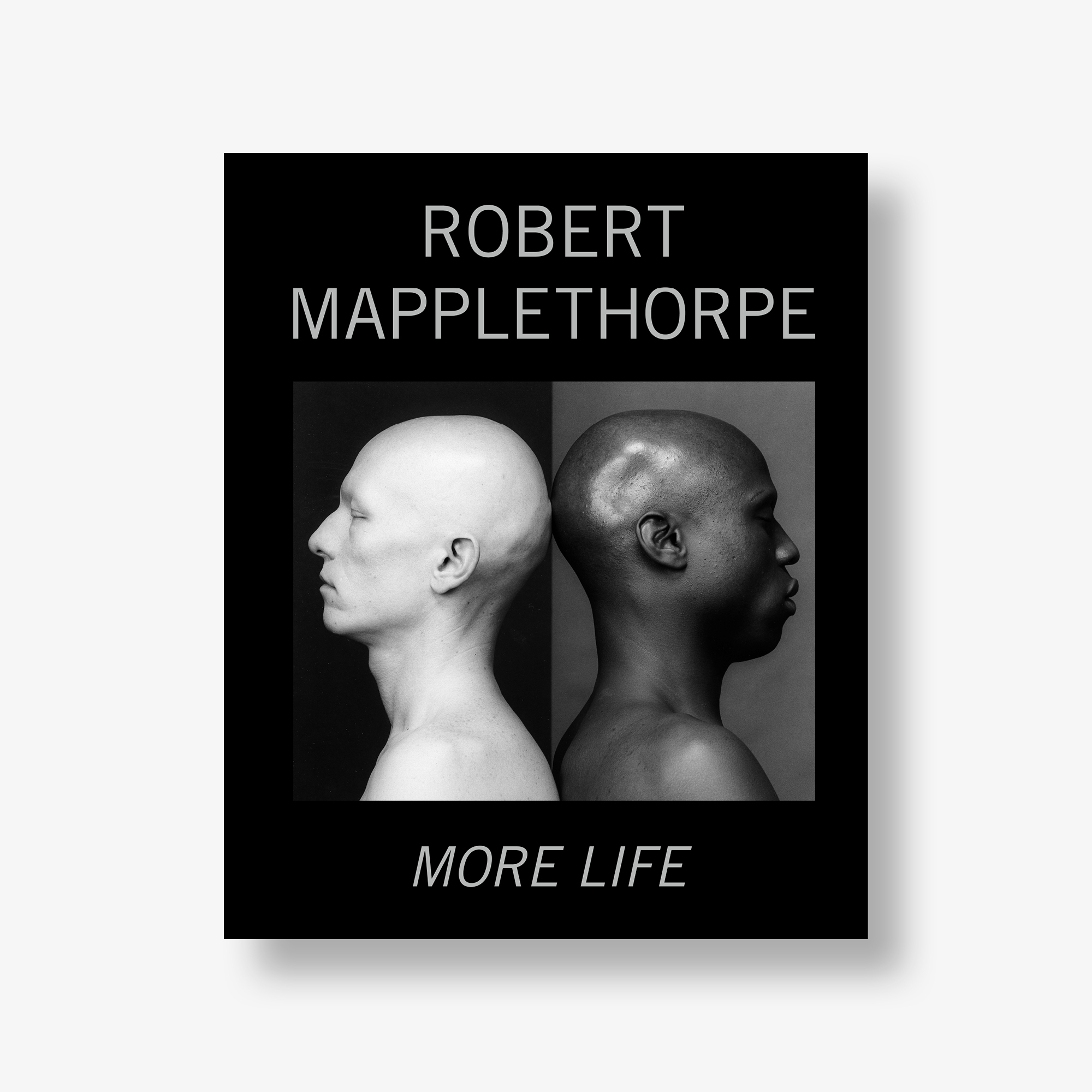 Robert Mapplethorpe : More Life